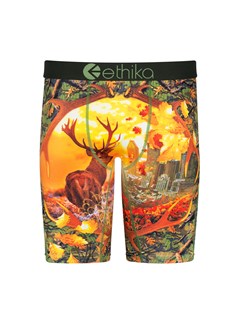 Ethika Boys Underwear